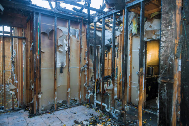 Professional Odor Removal technician working in Rexburg, ID